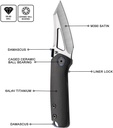 Cavol Denka Linerlock Black 