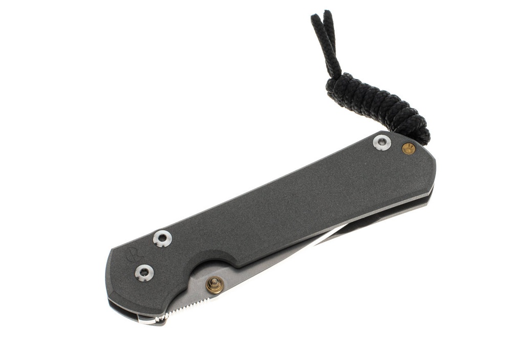 Chris Reeve Small Sebenza 31 - Gold Hardware