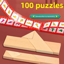 BRAIN PUZZLE Wood T + 100 Shapes