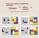 BRAIN PUZZLE Building Blocks 