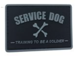 SERVICE DOG Training to Be a Solider 