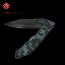 Victorinox Evoke BSH Alox 