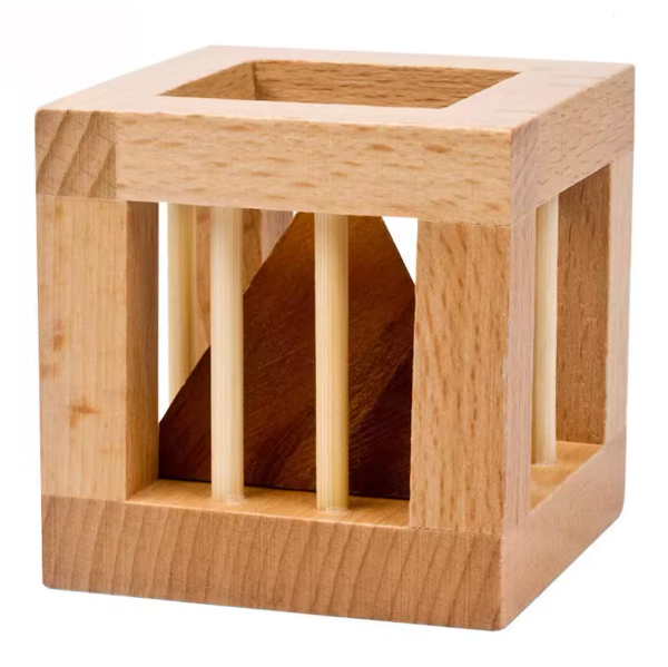 BRAIN PUZZLE Wood 7716-1