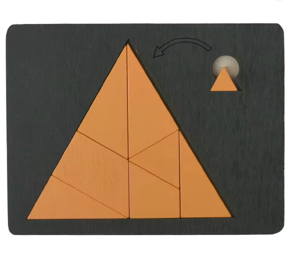 BRAIN PUZZLE Wood Fit The Shape