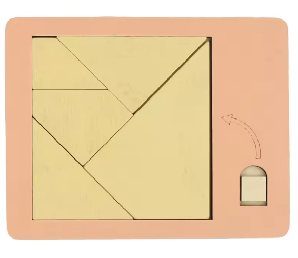 BRAIN PUZZLE Wood Fit The Shape